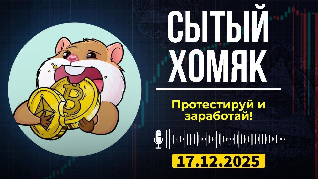 Сытый Хомяк | Тестируем новый CryptoRank: как стать ранним участником и получить вознаграждения!