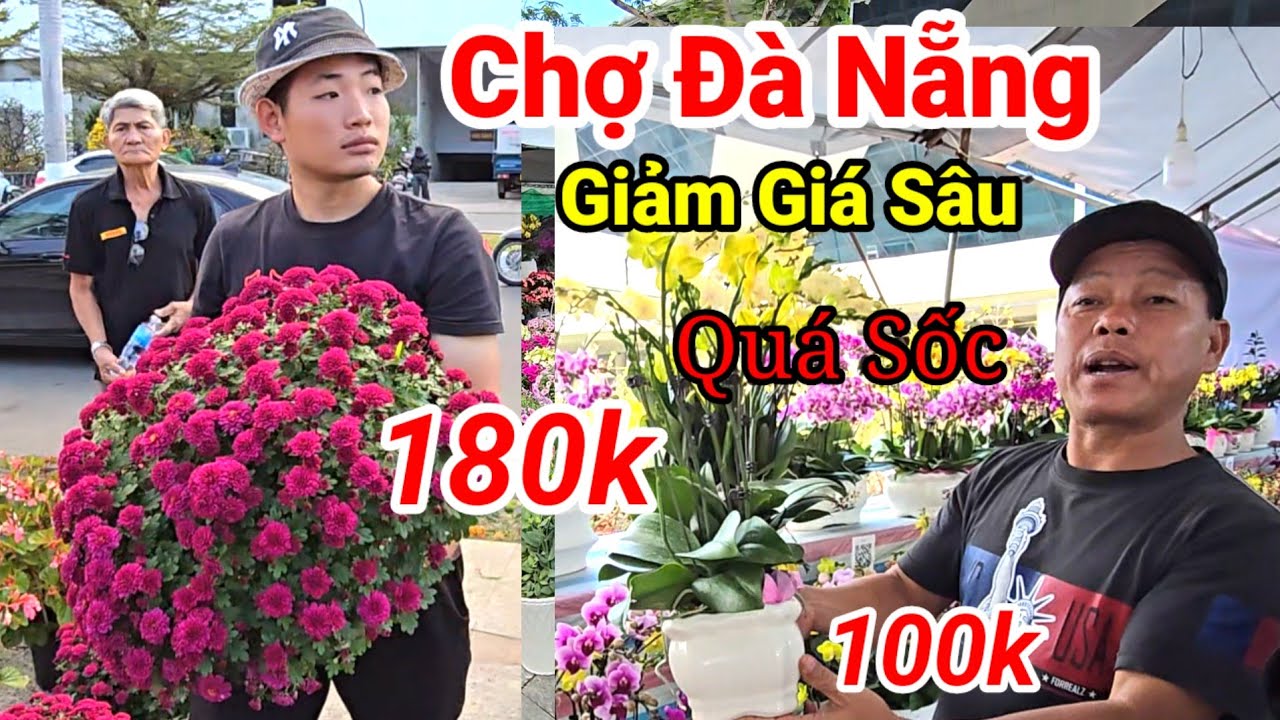 Chợ Hoa Tết Đà Nẵng Nhộn Nhịp Ngày Cận Tết | Mai Đào Đồng Loạt Giảm Giá