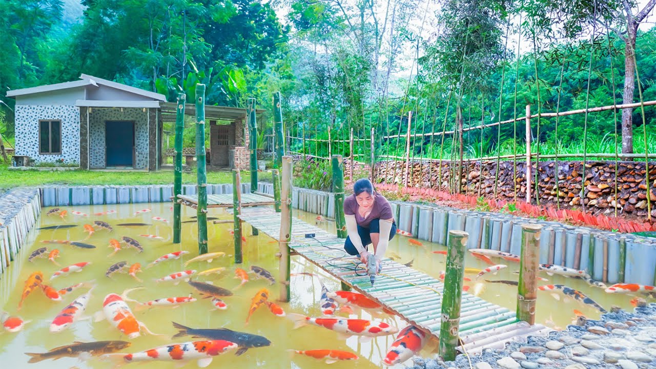 [TIMELAPSE] --45 Days Build Life After 18 Years Living In The City - Dig Ponds And Raise Fish