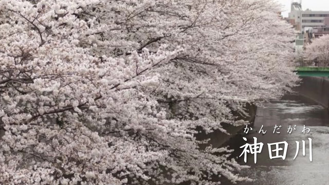 神田川 　かぐや姫