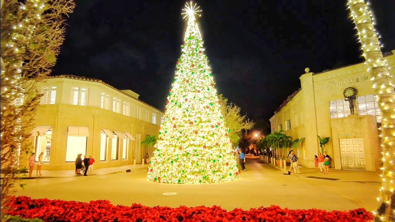 Christmas Lights From Florida🎄🌴