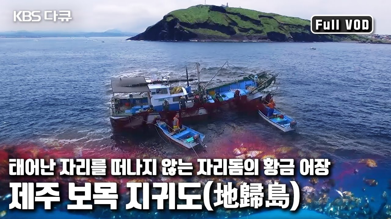 인고의 시간을 견디고 그물을 끌어올리면 만나는 자리돔!!! '제주 보목 자리돔의 바다’ (KBS 20160731 방송)
