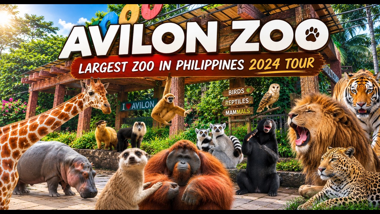 The LARGEST ZOO In Philippines - AVILON ZOO FULL TOUR | NEW ANIMALS | Rodriguez, Rizal