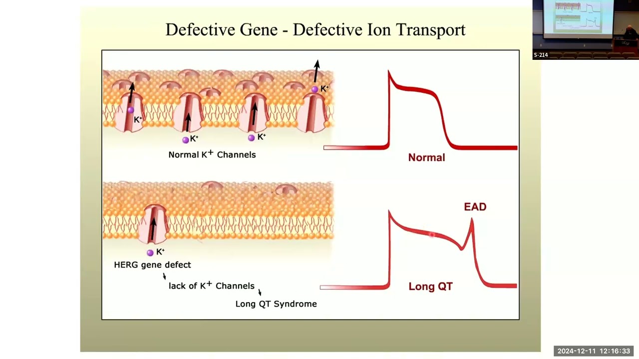 Cardiology Grand Rounds - Melvin Scheinman, MD - December 11, 2024