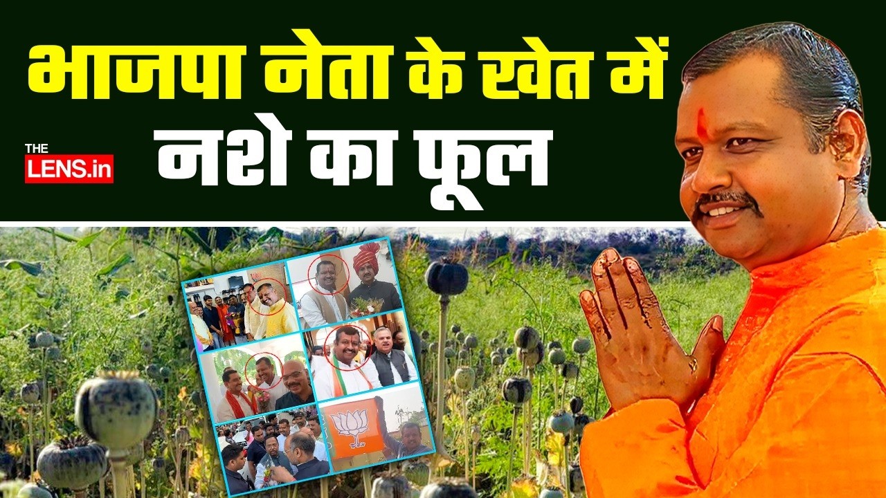 छत्तीसगढ़ में अफीम की खेती पर सियासी संग्राम: दुर्ग के समोदा से बलरामपुर तक बढ़ा विवाद | The Lens