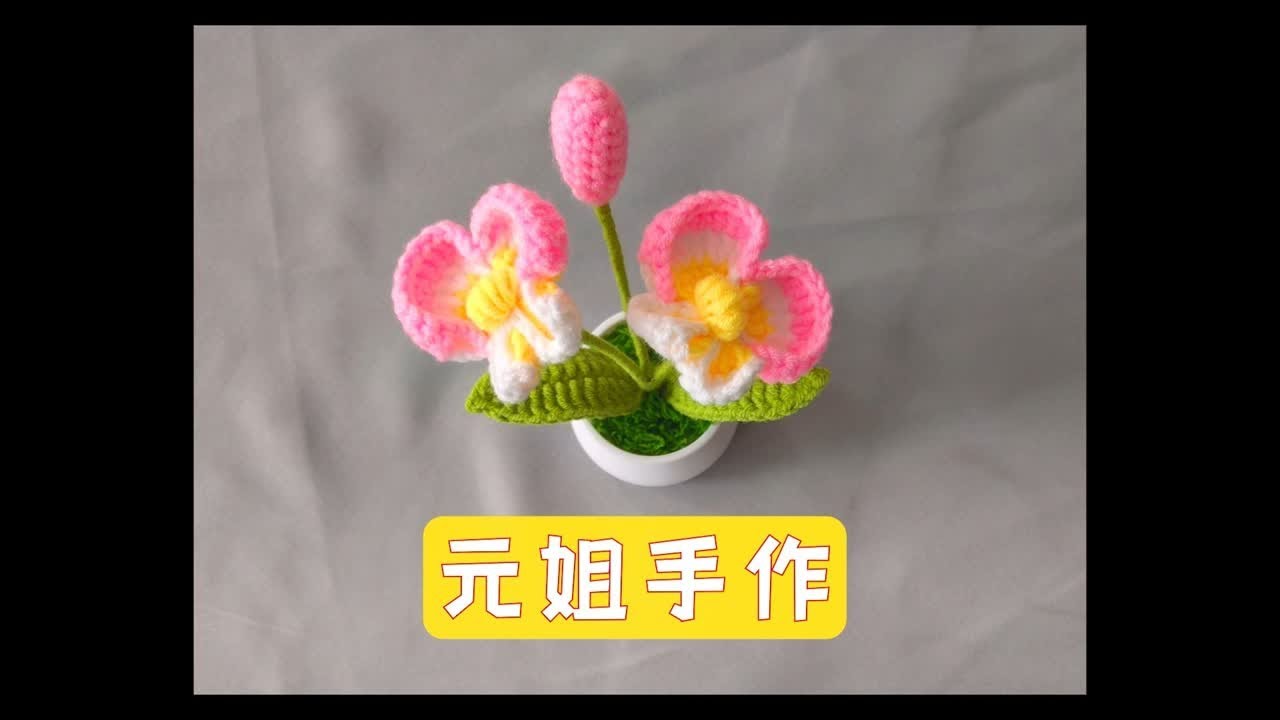 手工编织毛线花 简易款蝴蝶兰盆栽 钩织教程 超简单