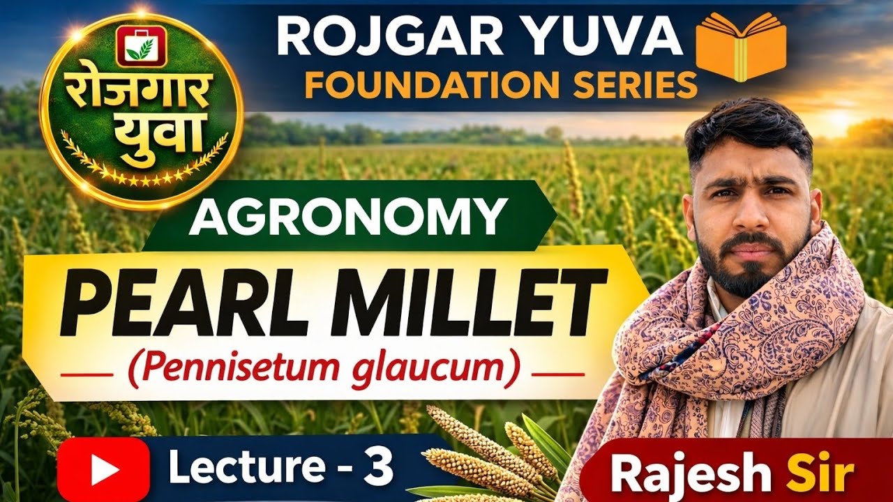 Pearl Millet (Bajra) | Agronomy Lecture 3 | Pennisetum glaucum | Rojgar Yuva Foundation Series
