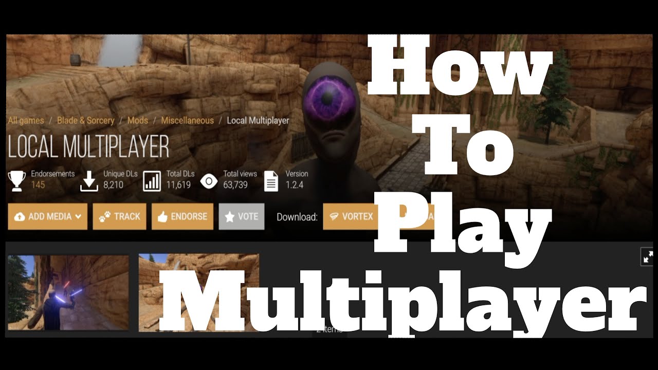 How to SETUP and PLAY multiplayer in Blade and Sorcery using Parsec and Local Multiplayer Mod