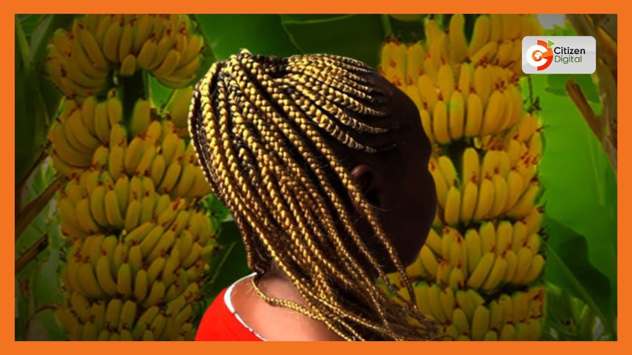 | CITIZEN PLANET | Banana BraidS Revolution