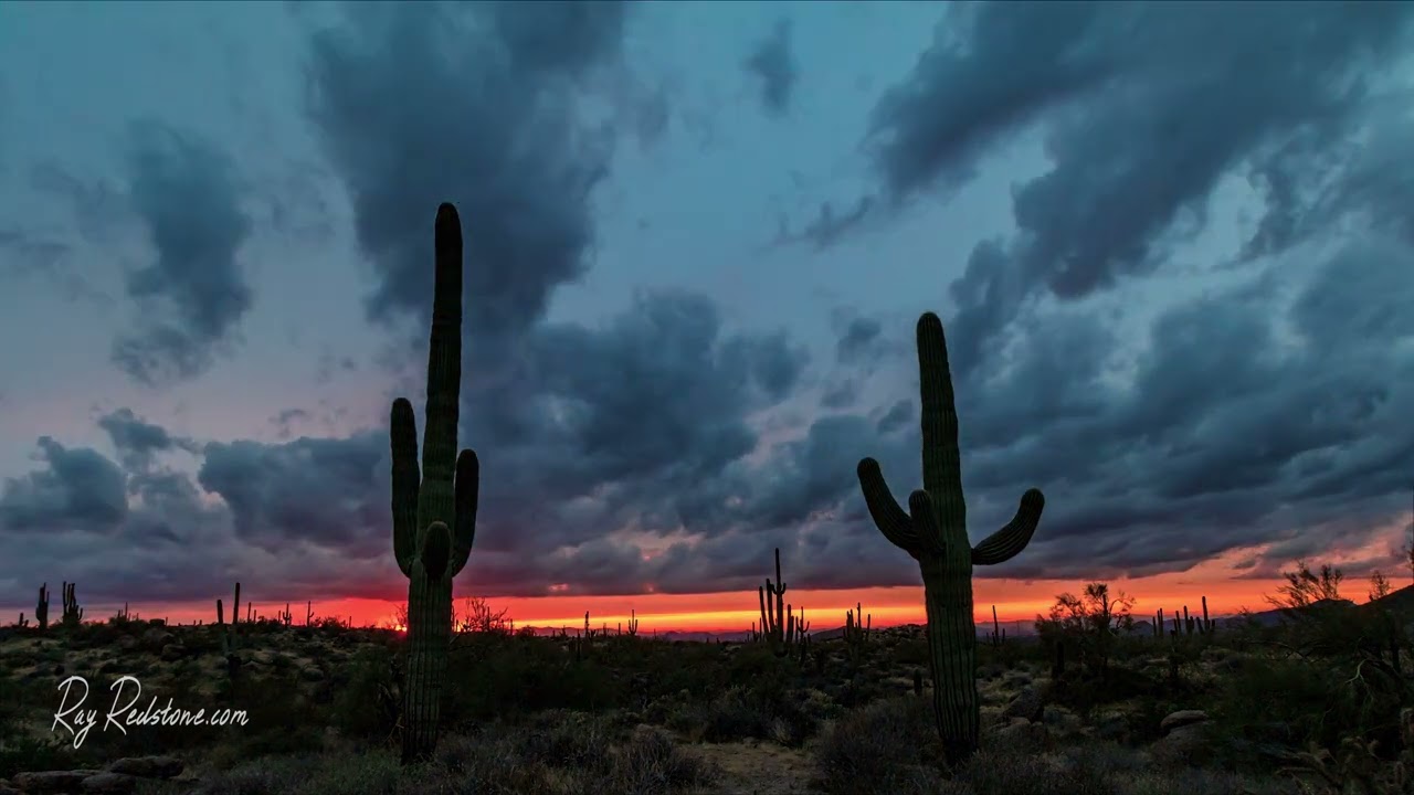 Epic Arizona Burning Sky Sunset with Saguaro Cactus | Scottsdale Desert Time-Lapse