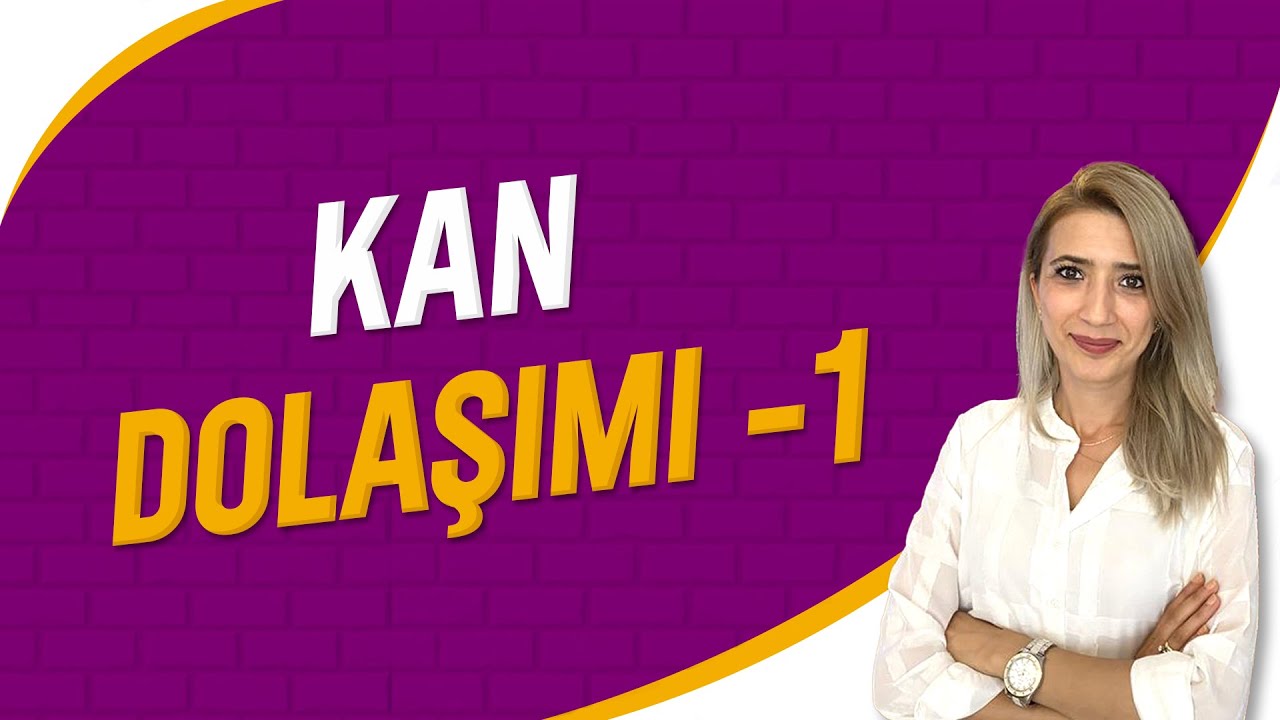 Kan Dolaşımı - 1 | Seda Hoca Biyoloji ( 11. Ders ) #sedahocabiyoloji #ayt2023
