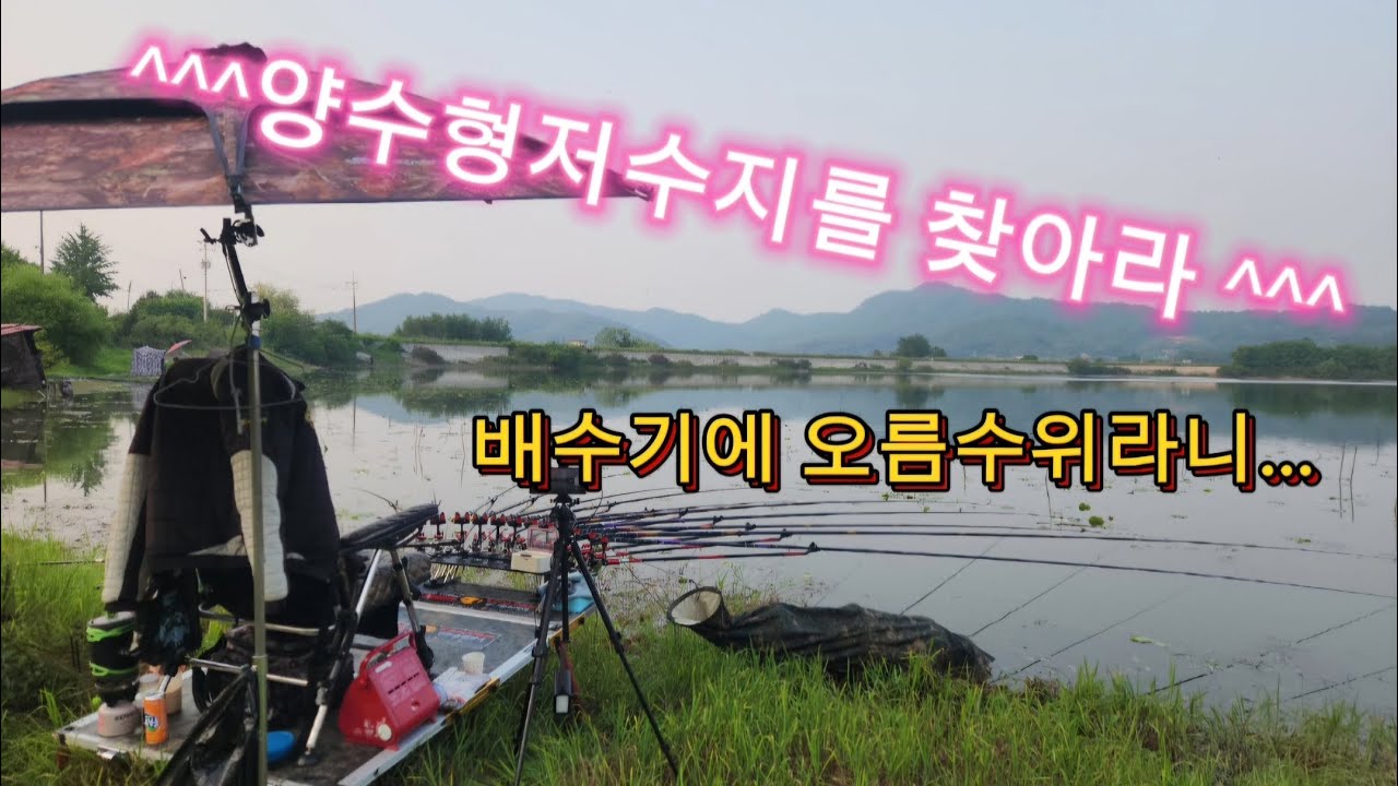 저수지의 수위를 확인하라/#꾼의선택tv #대림낚시프라자