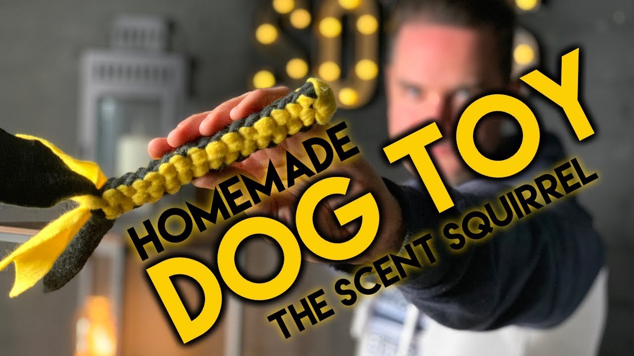 Homemade Dog Toy - Scentwork Squirrels
