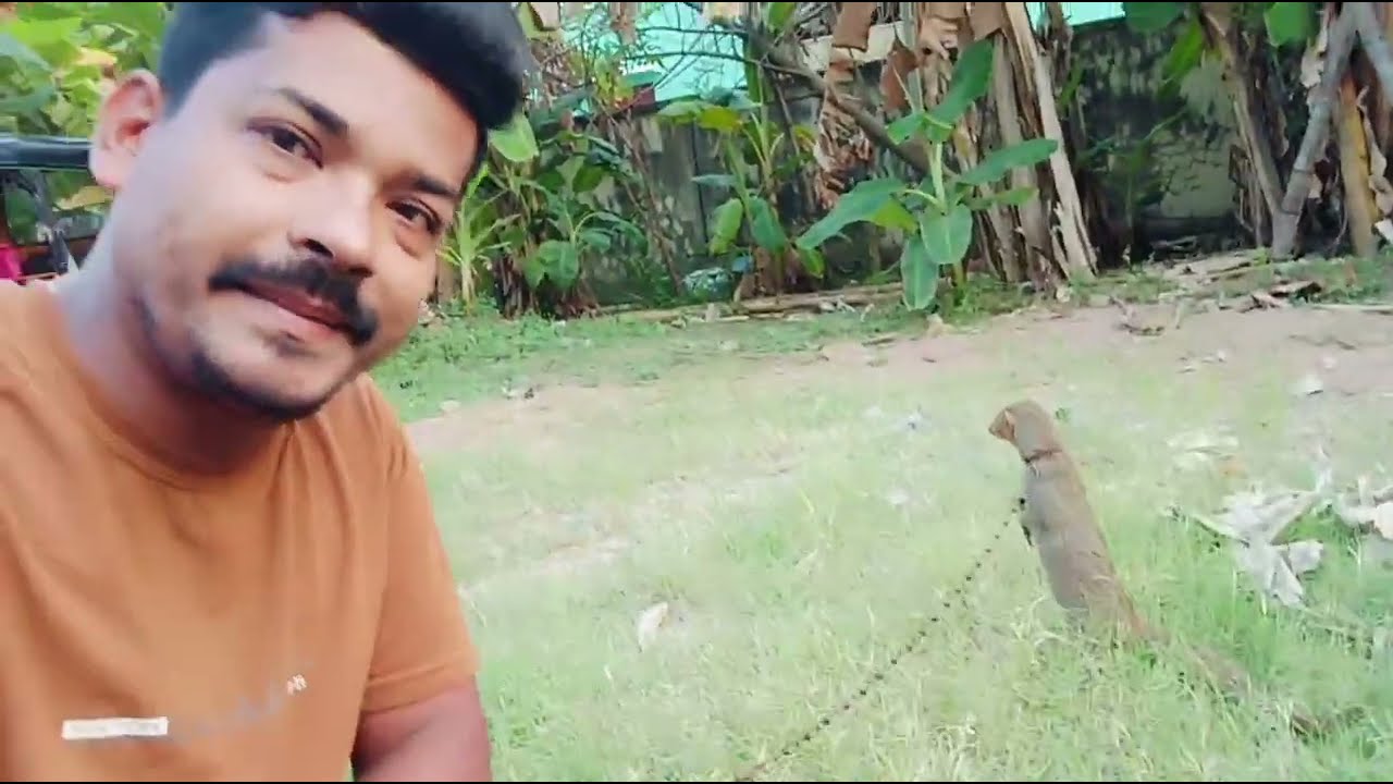 mongoose ko kese pale#ମୋ ଵଳିଆ ସୁନା ପିଲା ଟା#ଆଜି ମୁଁ ରାଗିଛି#ଵହୁତ ଦିନ ପରେ ଆଜି #viral #grsexpress#