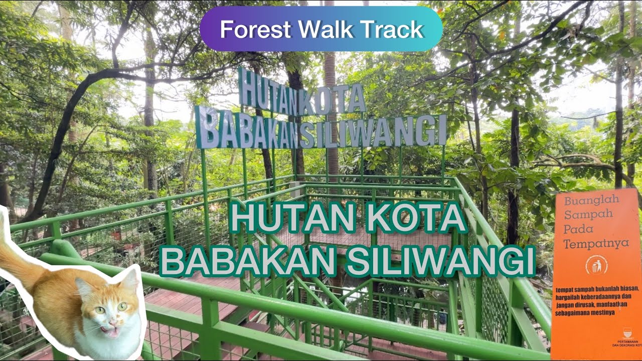 Healing Tipis-tipis di Hutan Kota Babakan Siliwangi City Forest 🌿