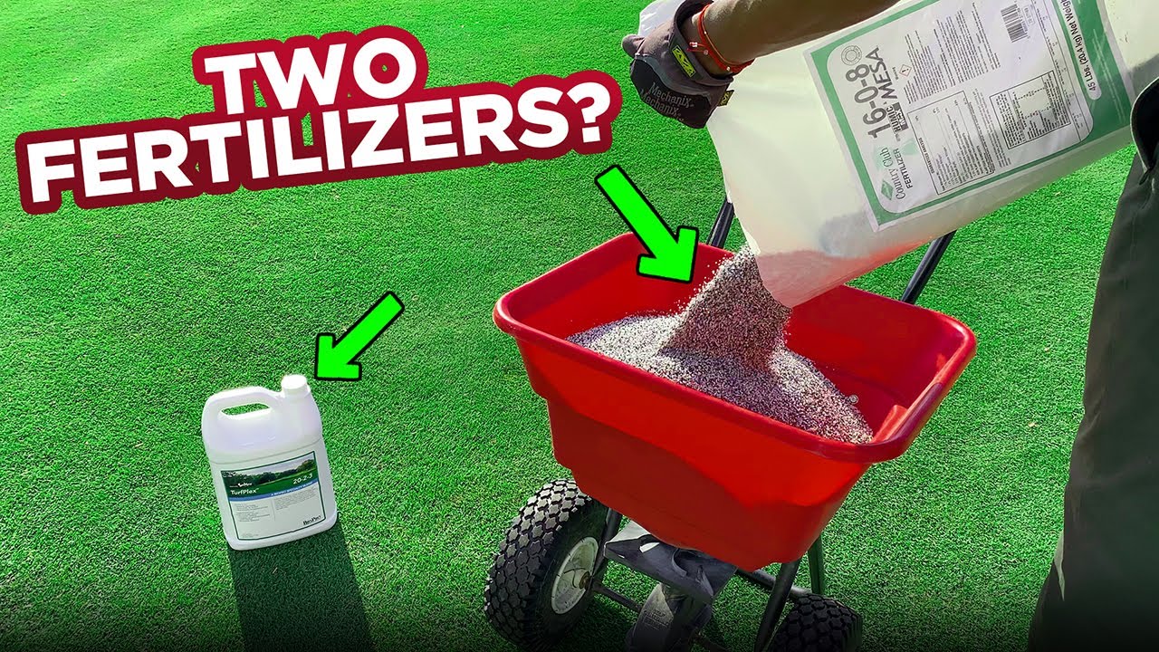 How to Fertilize Your Golf Course Lawn - Spoon Feeding Program