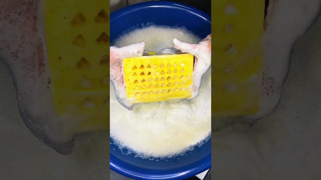 🧽🫧💗