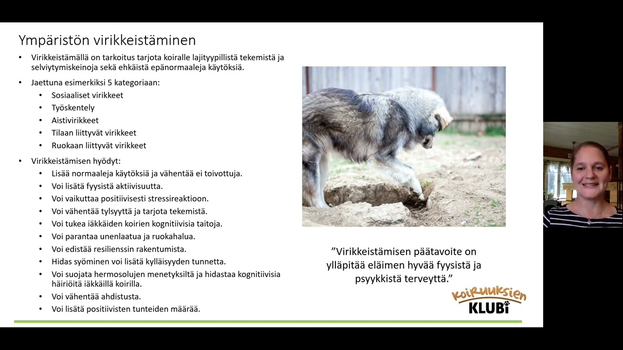 Virikkeistämisen hyödyt