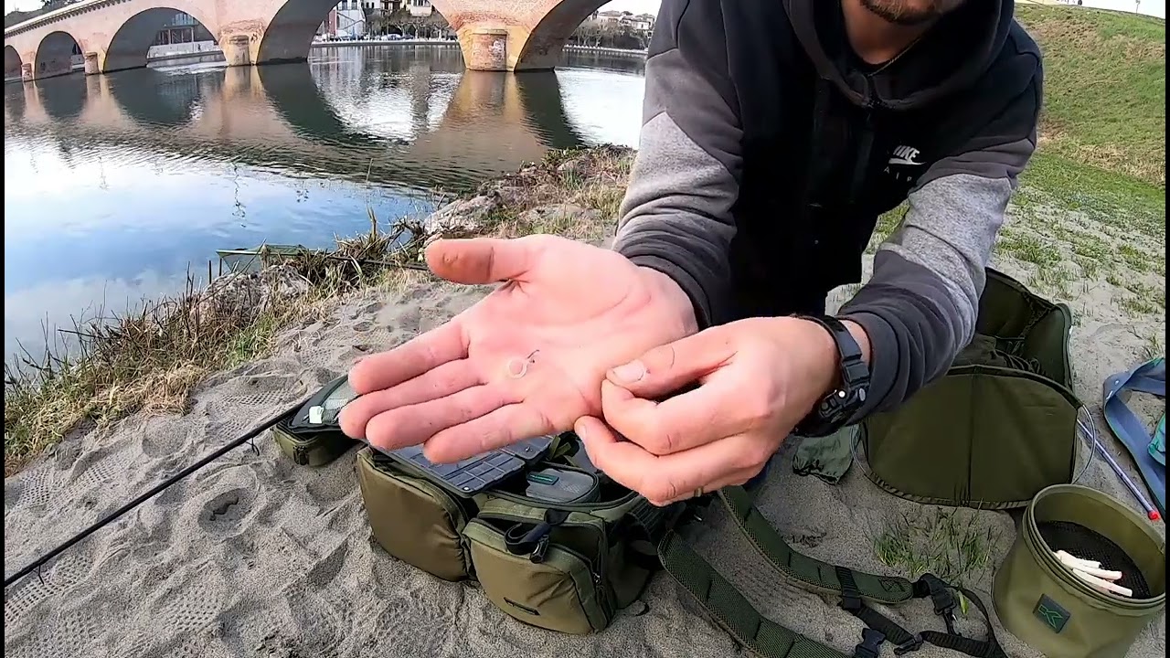 Pêche au pain au feeder sur la Garonne