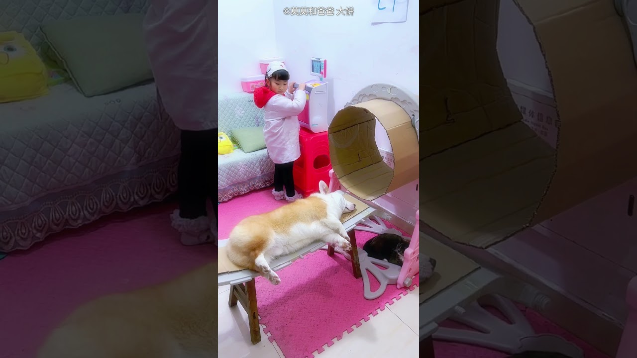 Part 2: The Cutest Doctor & Her Doggy Assistant! 🤣🏥