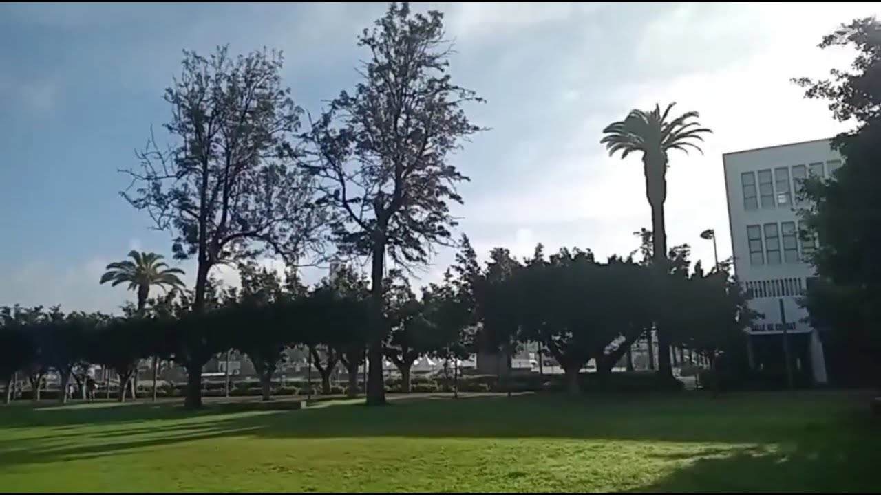 ماراطون للأطفال في حديقة الجامعة العربية