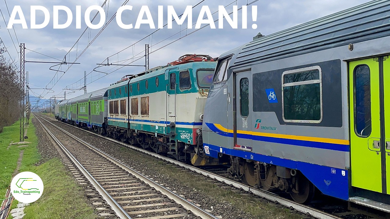 [4K60FPS] ANCORA DEMOLIZIONI: ARRIVA LA FINE PER DUE CAIMANI EX DBR TOSCANA!