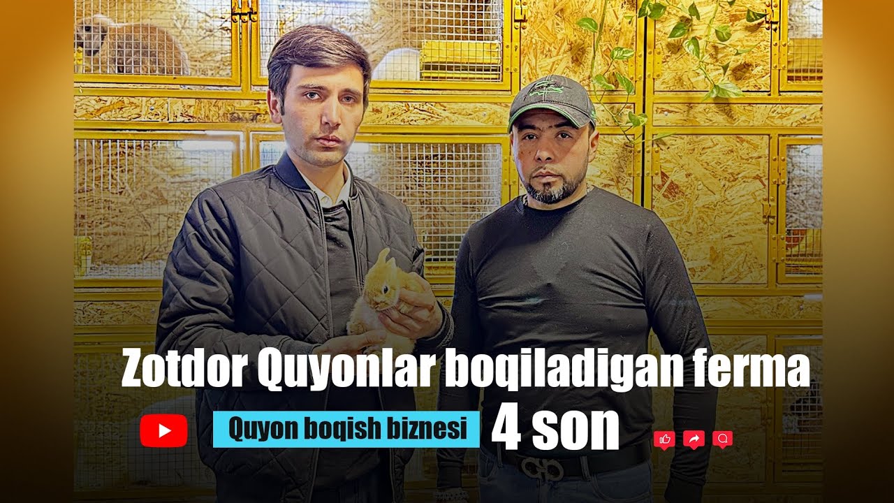 Zotdor Quyonlar Boqiladigan Ferma.QUYON BOQISH BIZNESI. #4SON.Uy sharoitida quyon parvarishlash.