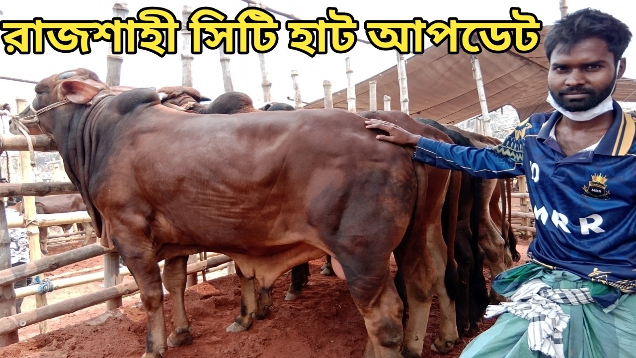 রাজশাহী সিটি হাট আপডেট।। ১১/০৩/২০২৬