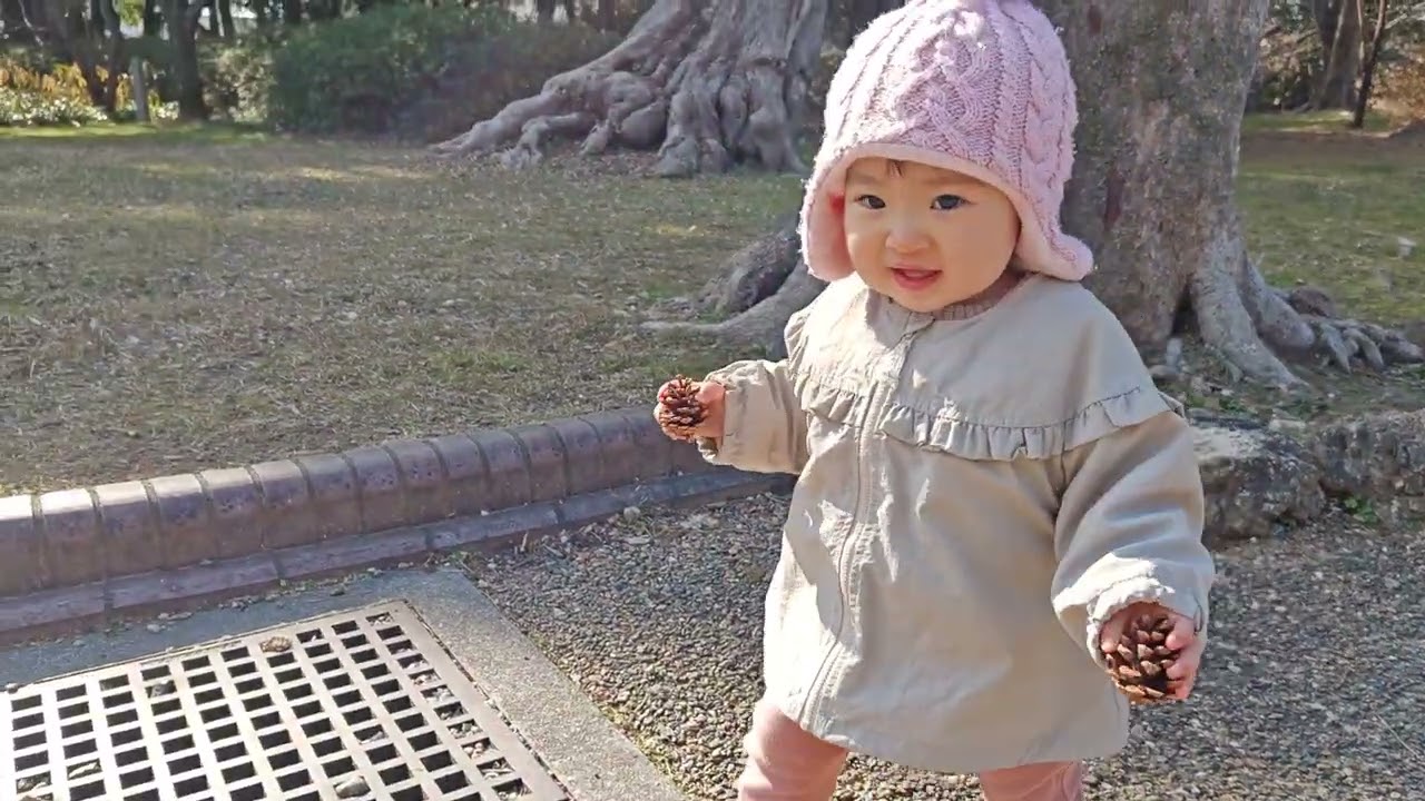 松ぼっくり二刀流(さんぽ中)