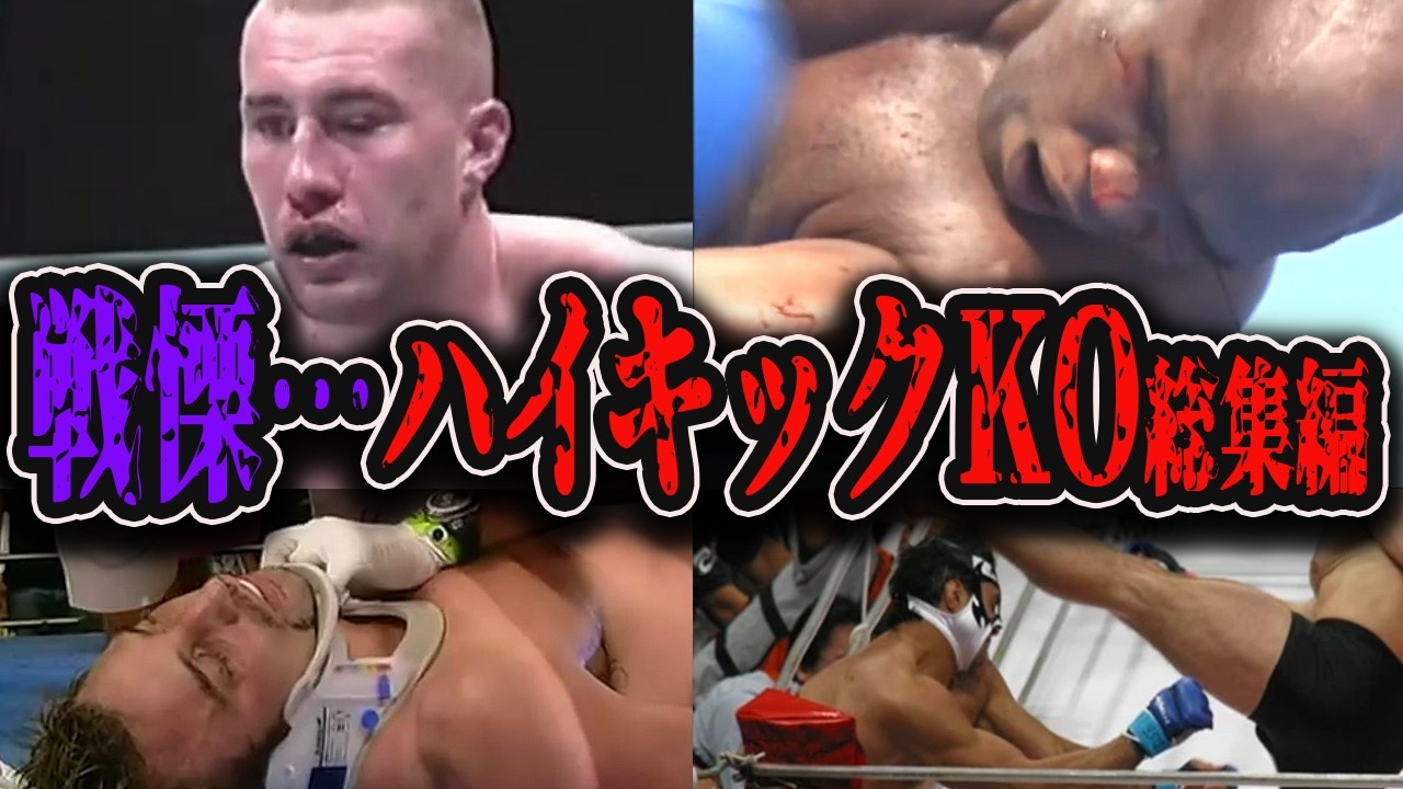 【総集編】ガチでヤバい衝撃のハイキックKO特集【k1/格闘技/KO】