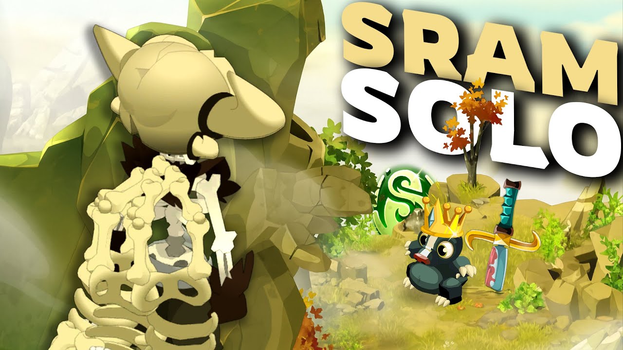 Le SRAM en MONOCOMPTE sur DOFUSS