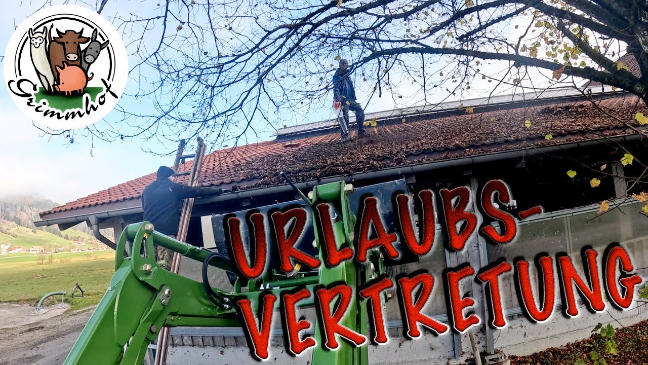 FarmVLOG#309 - Gastarbeiter in Urlaubsvertretung