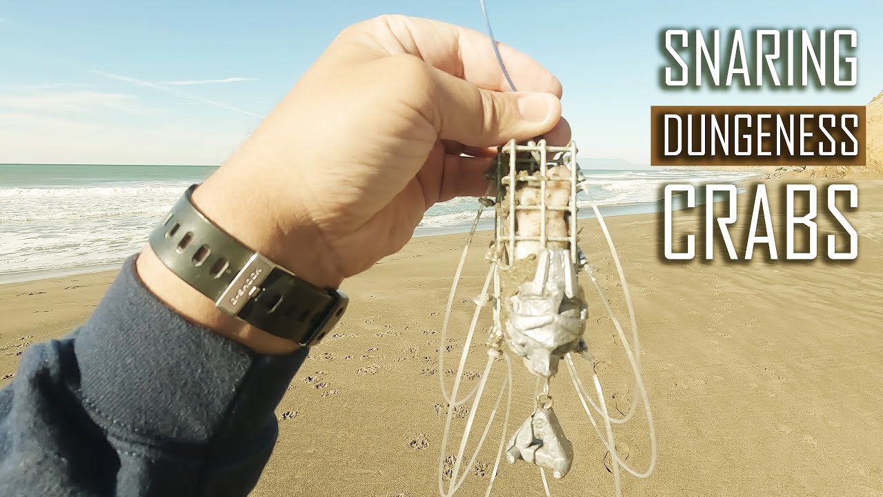 Crab Snaring from the Surf using Squid | ITGETSREEL Episode 163
