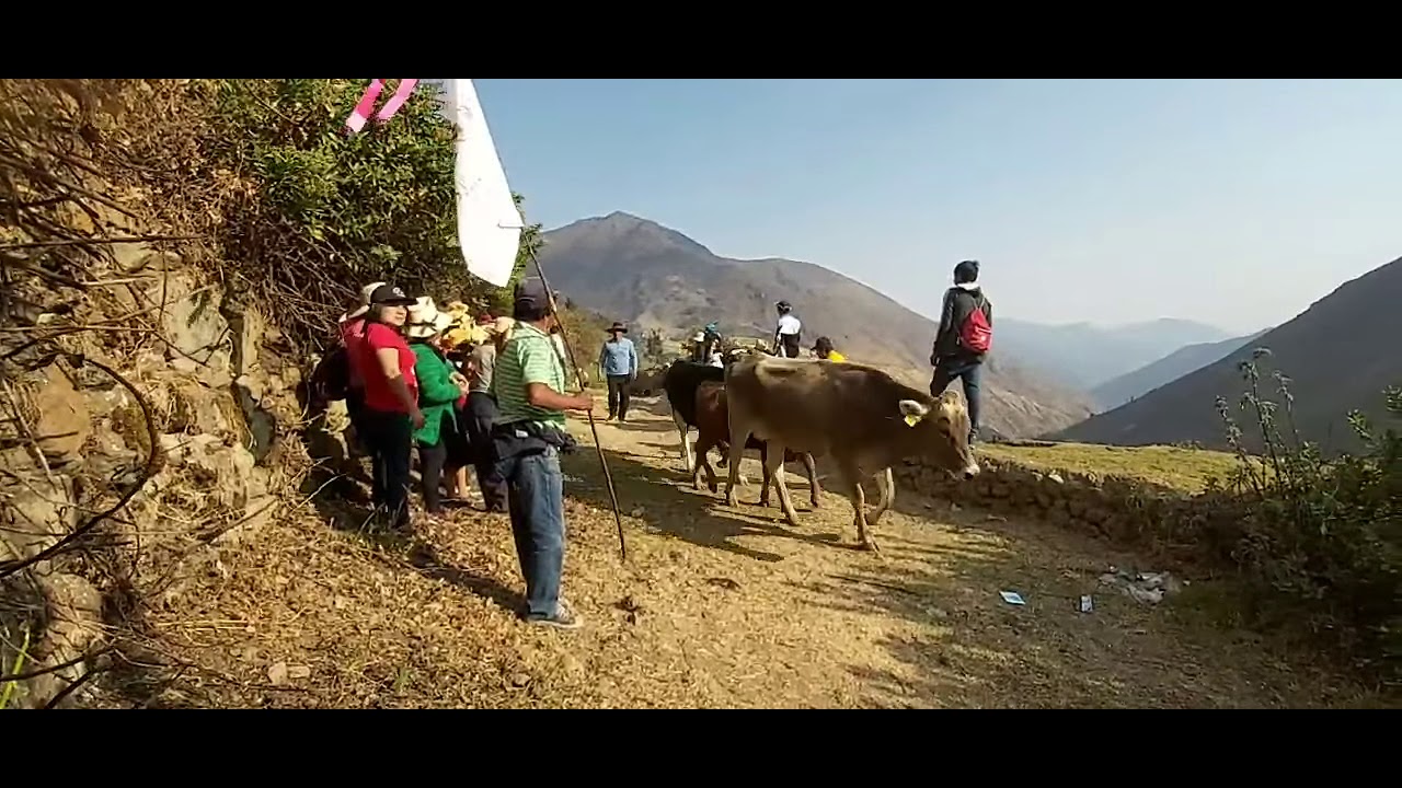 Rodeo de Cochan 2019 - Carac  - Huaral