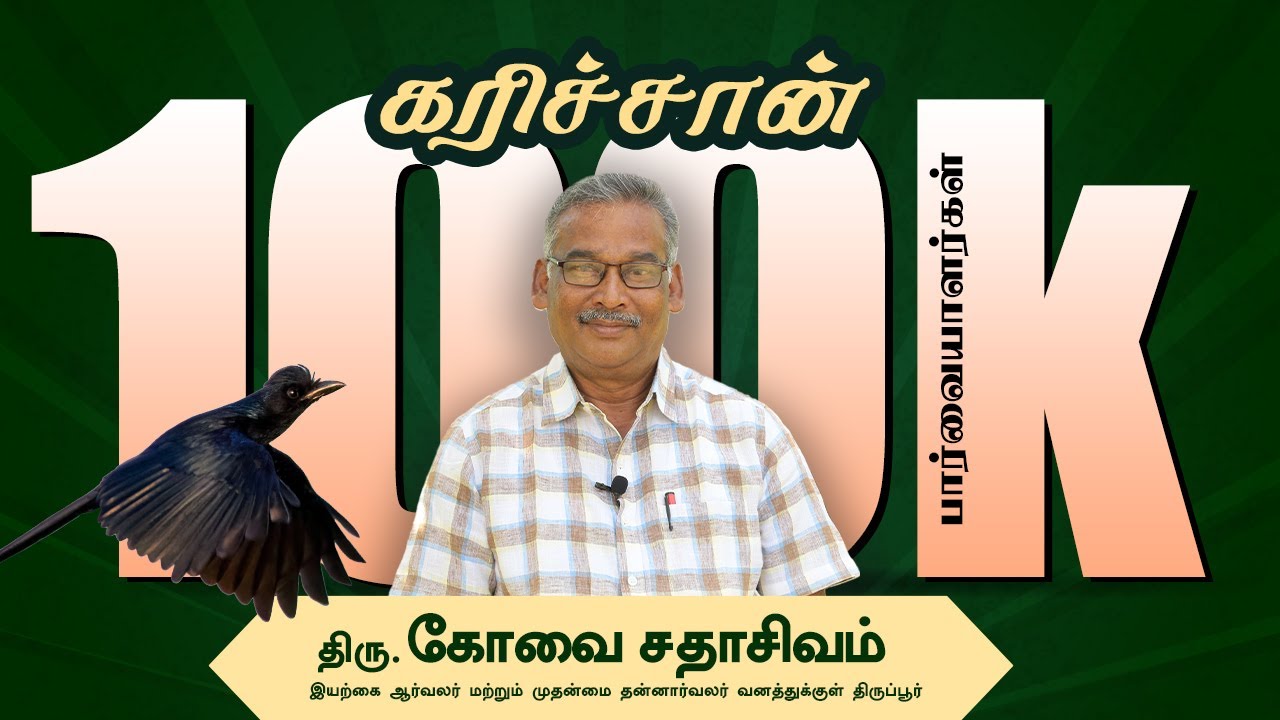 கரிச்சான் | பறவைகளை அறிவோம் | இயற்கை ஆர்வலர் கோவை சதாசிவம்