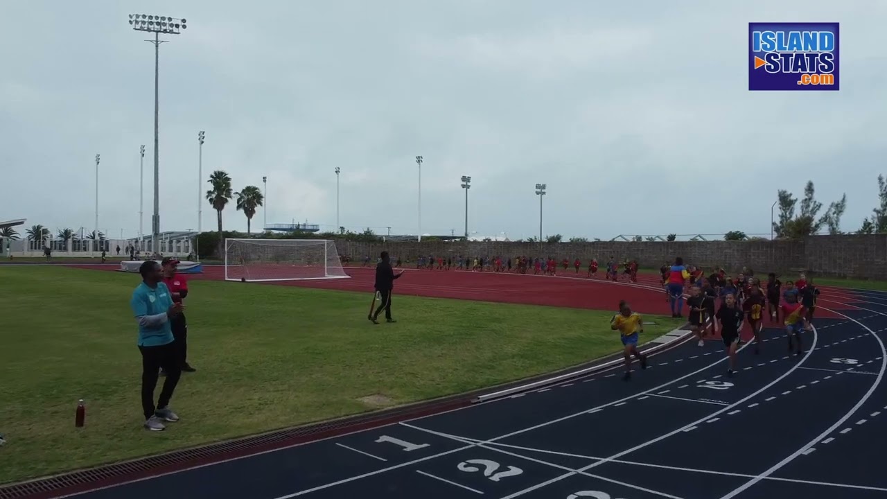 Primary School Cross Country 2023