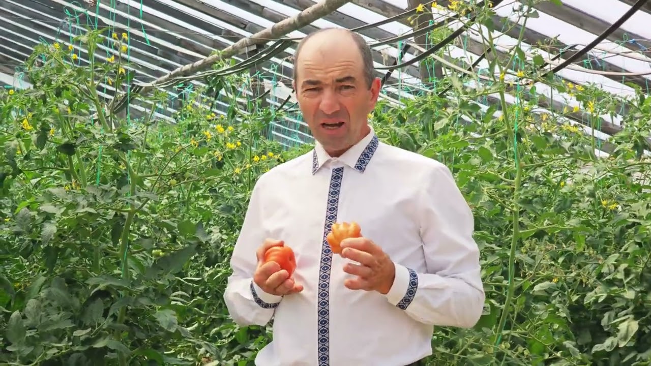 Ferma unde Cerul întâlnește Pământul - O Poveste  Reală despre Credință și Rod