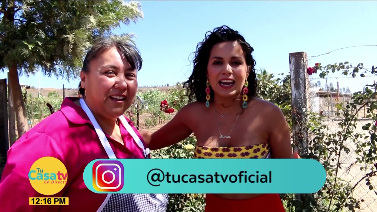 ¿Dónde es? con Brenda Catalán I Valle de Guadalupe