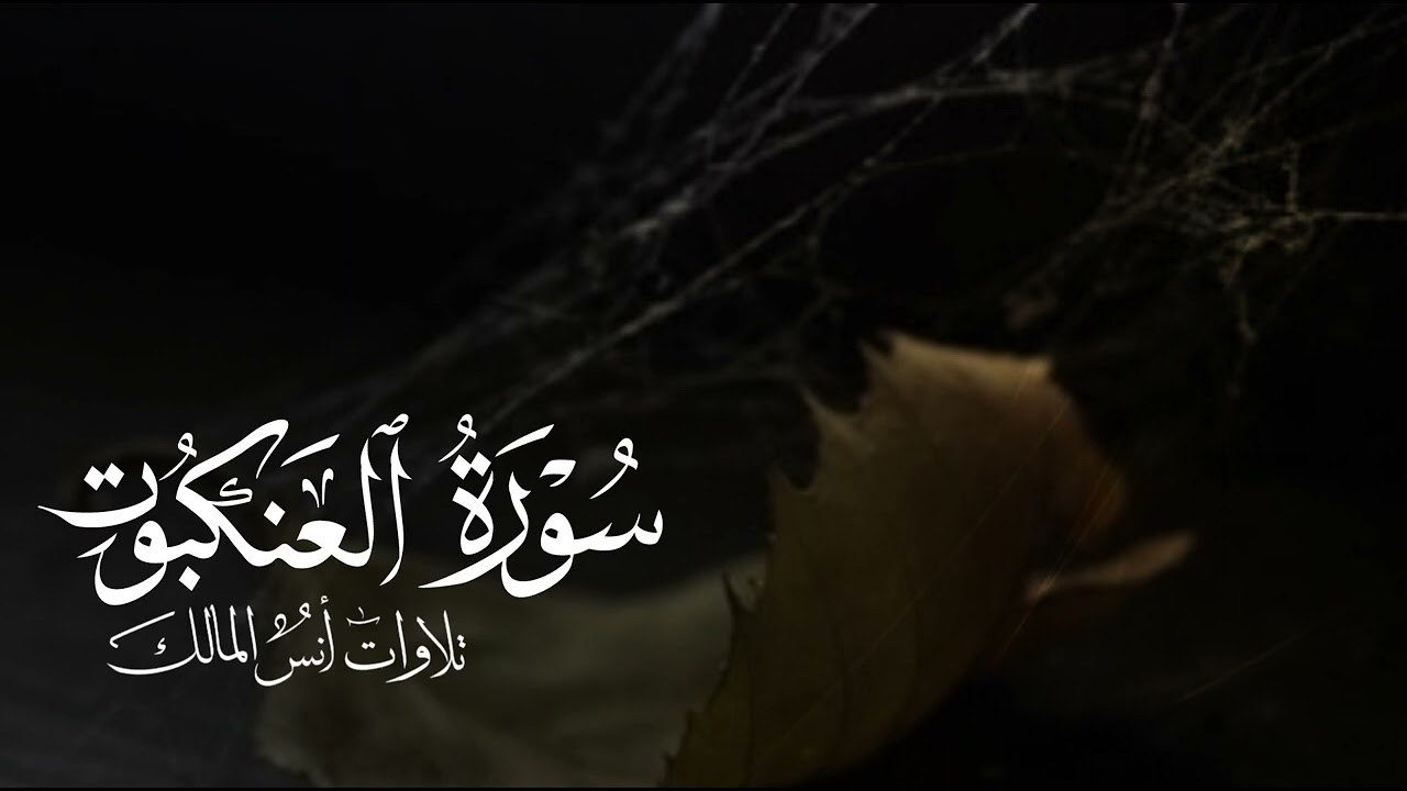 تلاوة سورة العنكبوت للقارئ أنس المالك من ليالي رمضان ١٤٤٤