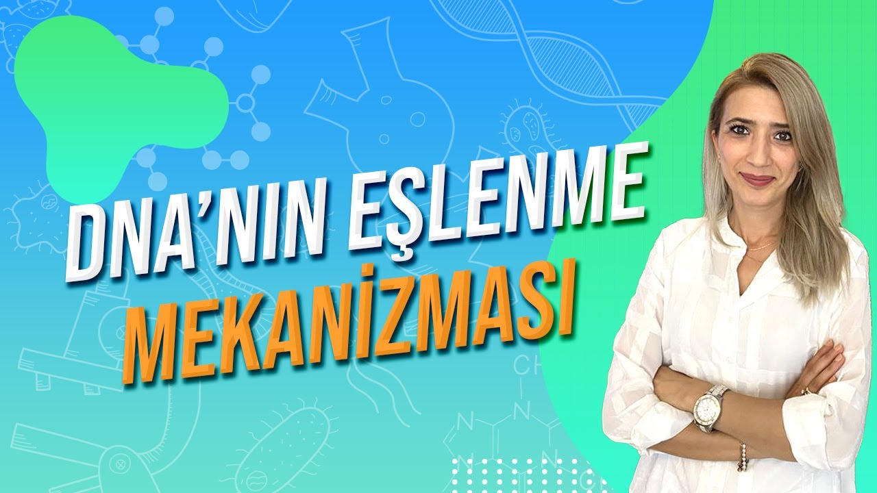 DNA'NIN EŞLENME MEKANİZMASI | Seda Hoca Biyoloji 🧬#ayt2024