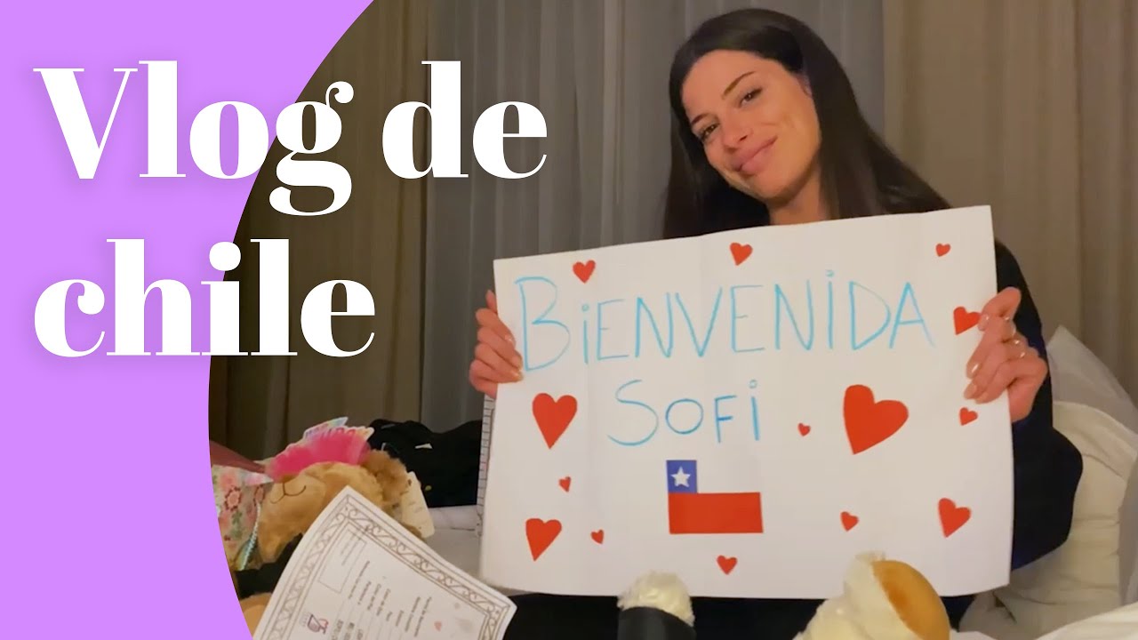 VLOG DE CHILE