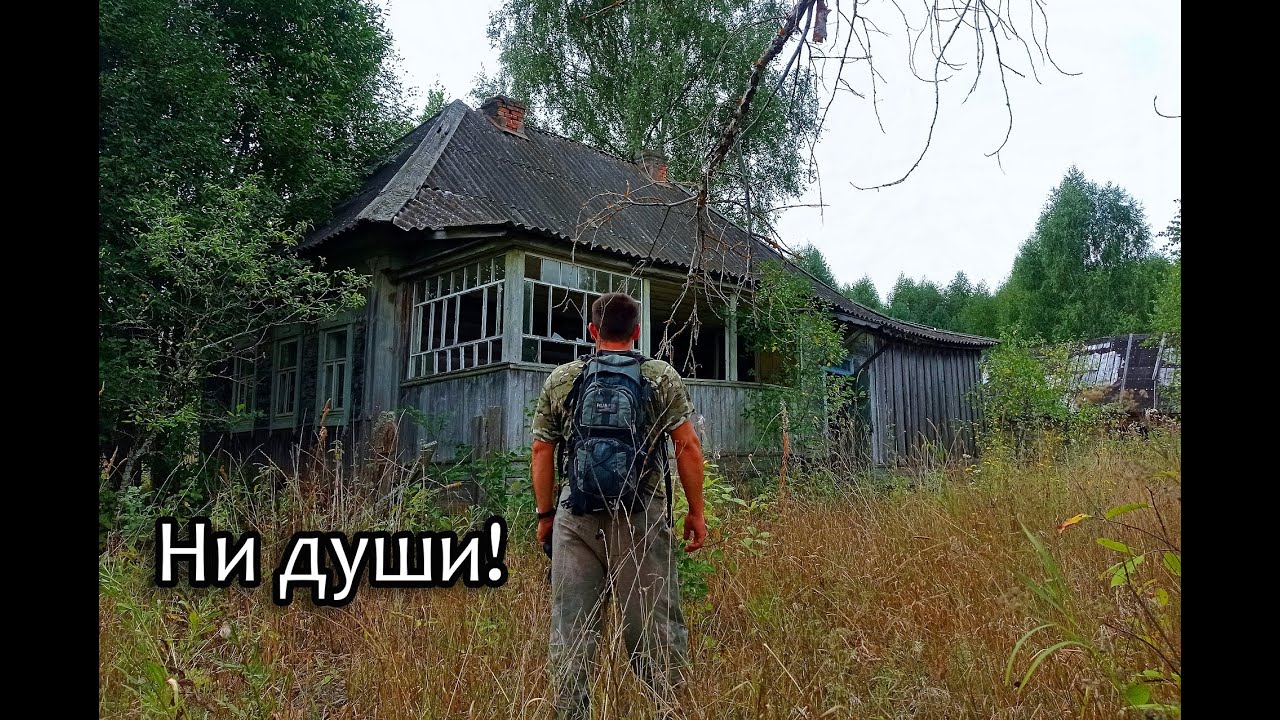 Заброшенная деревня БОЛКИНО, КУТУЕВКА, ГУНАЕВКА, АМПЛЕЕВКА. Вокруг лес и одно КЛАДБИЩЕ на всех.