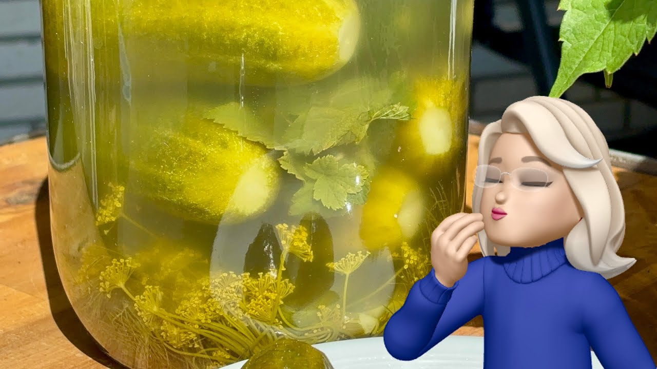 schlesische Gurken fermentieren Salzgurken milchsauer polnische saure Gurken einfach selber machen