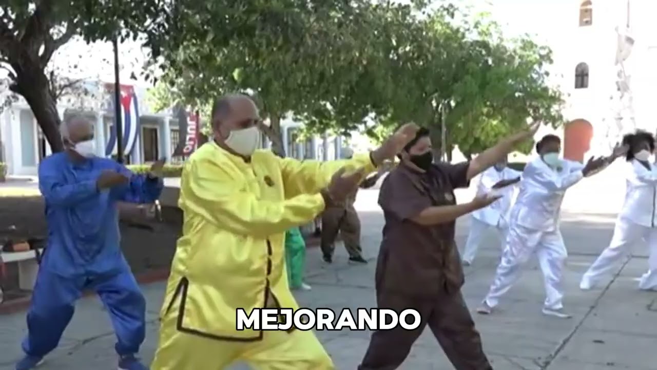 Curso Qi Gong #qigong #taichi #fitness