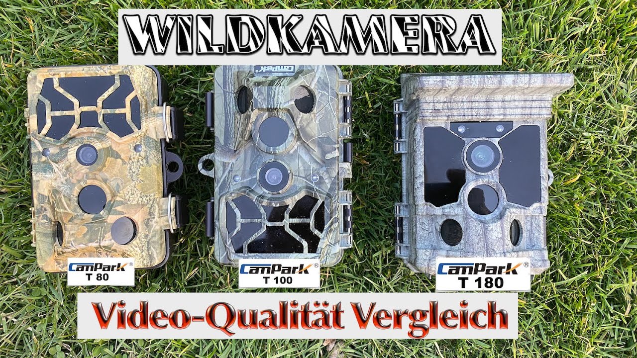 Wildkamera Vergleich Campark T80, T100, T180 Tagaufnahmen, Nachtaufnahmen.