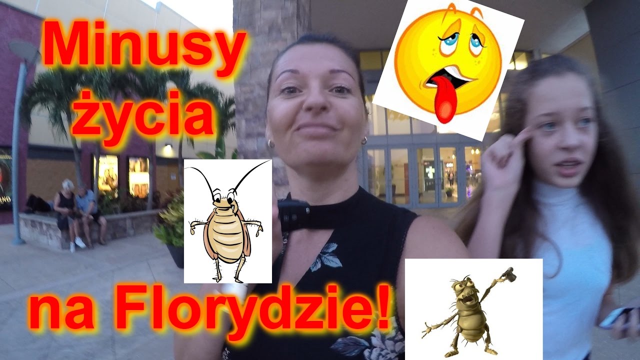 MINUSY ŻYCIA NA FLORYDZIE - królowo pcheł ! /USA vs. POLSKA /24