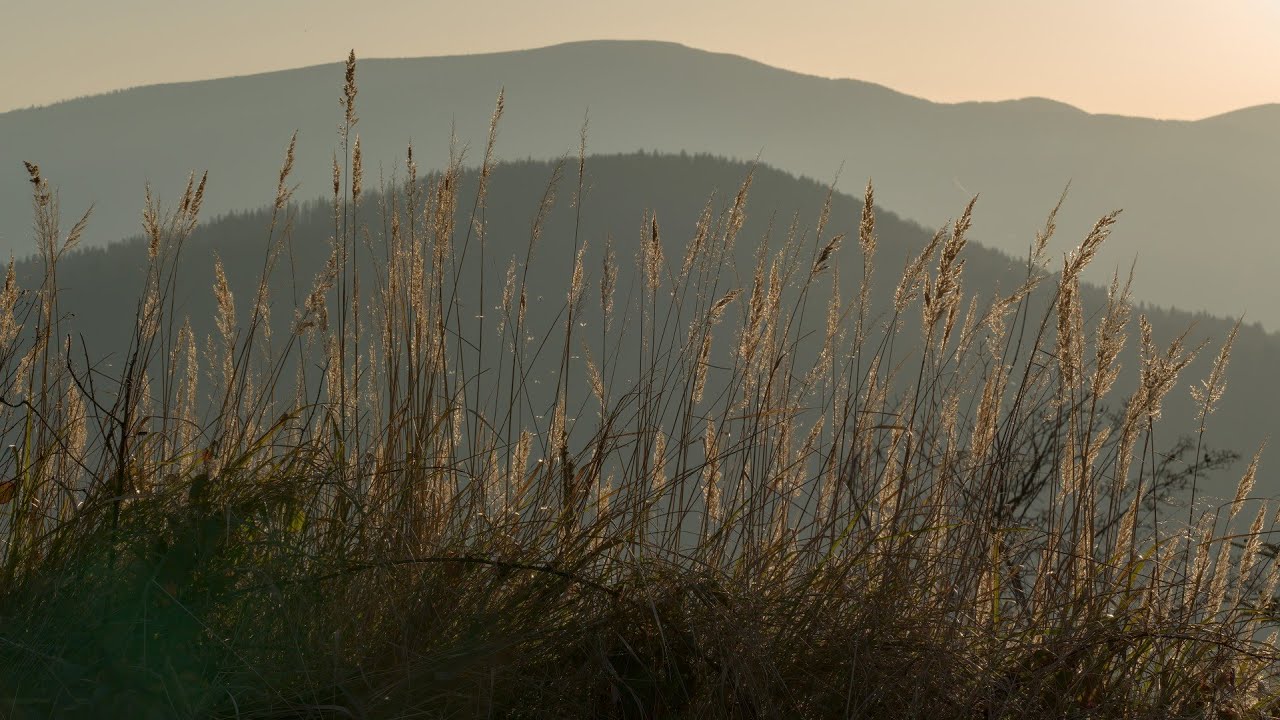 Beskid Żywiecki - listopad 2021