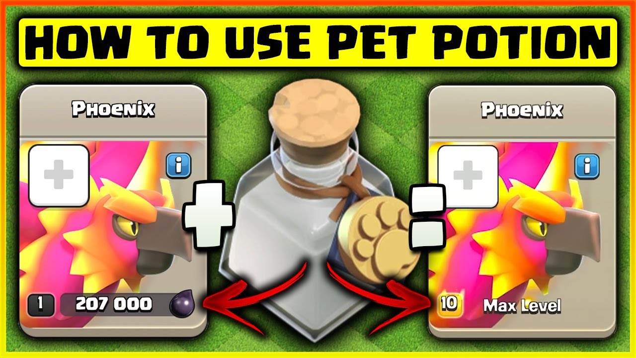 How to Get and Use Pet Potion in Clash of Clans