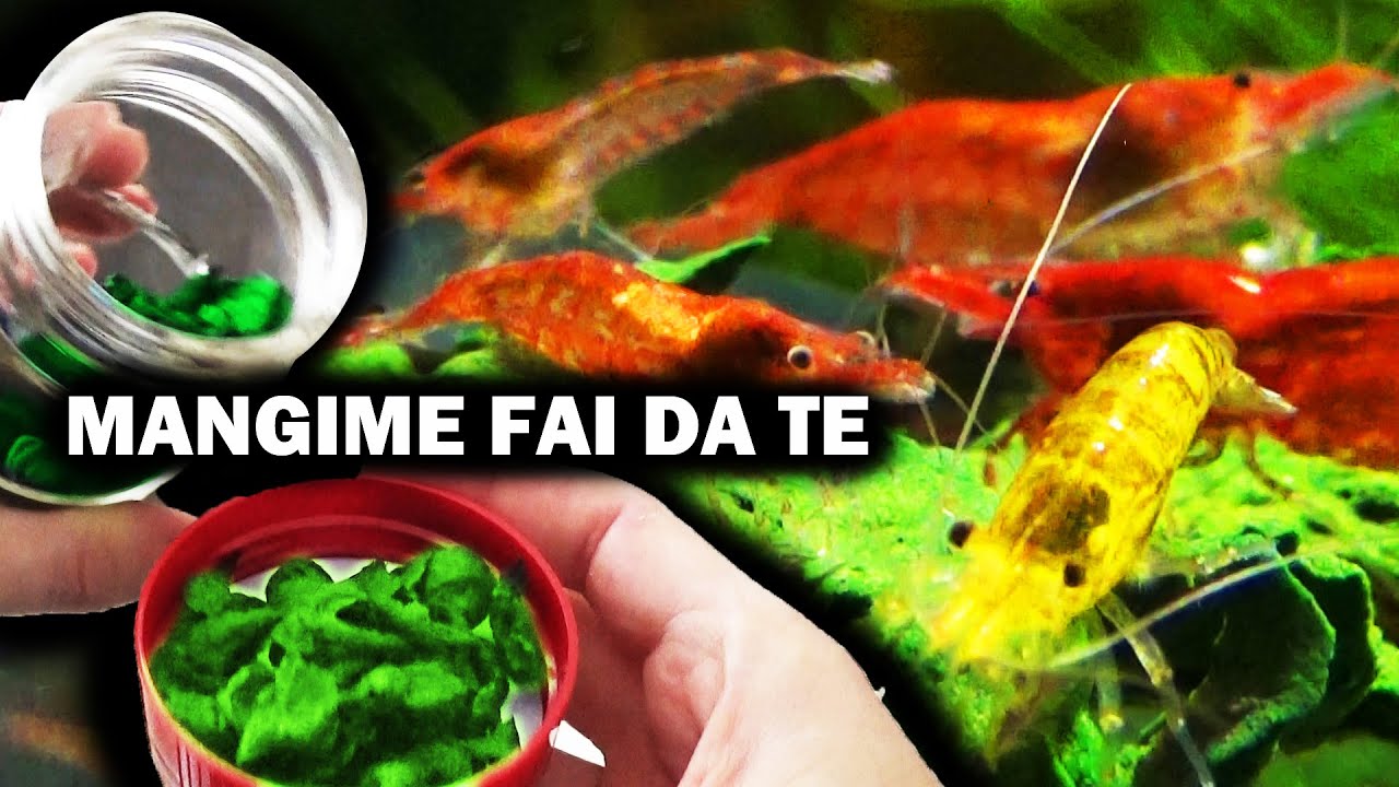 Mangime per CARIDINE Fai da Te (In Pellet)