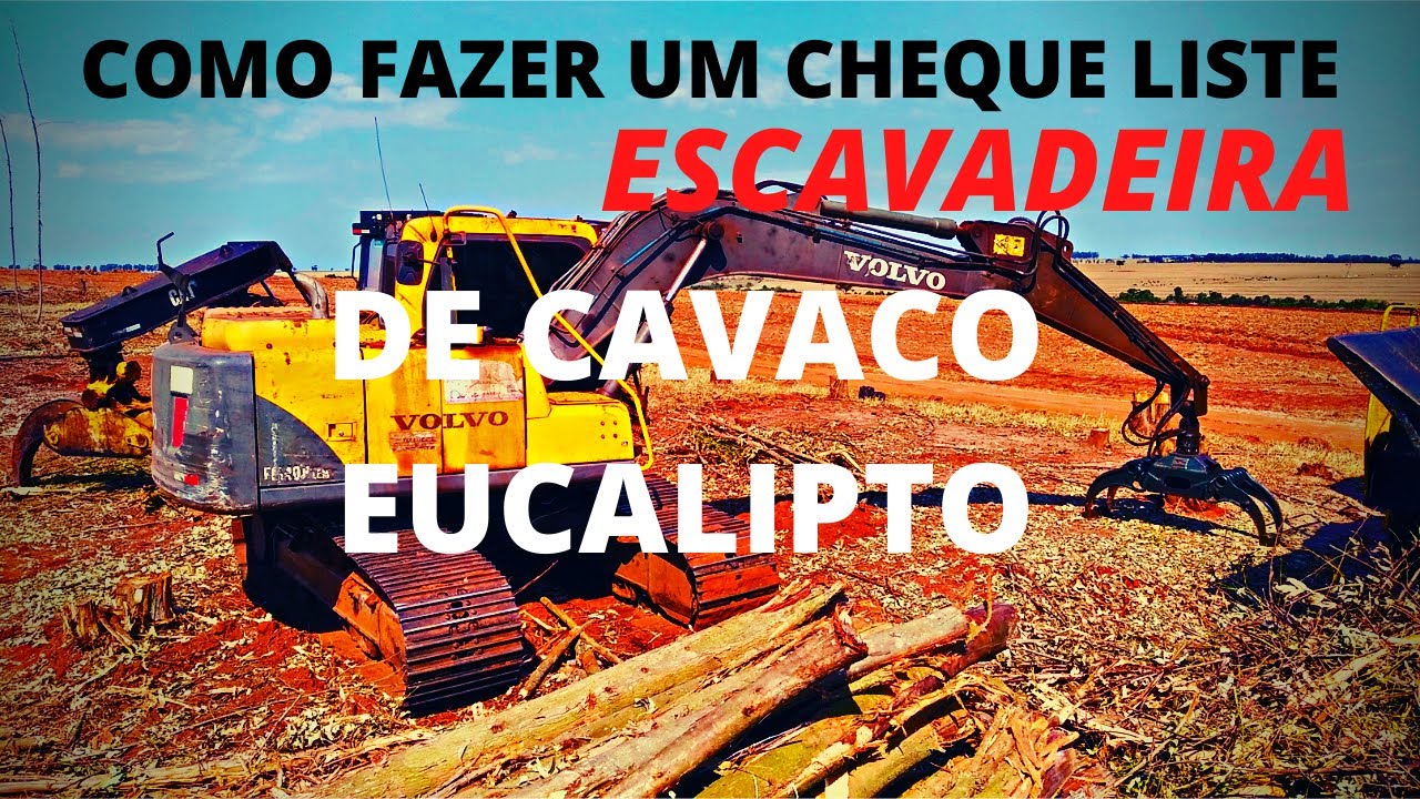 ✔COMO FAZER UM CHEQUE LISTE PARA INICIANTES ESCAVADEIRA DE CAVACO DE EUCALIPTO👍